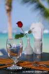 Avantika Boutique Hotel 